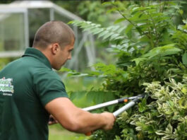 jardinero para empresa multinacional gardener personal de mantenimiento de áreas verdes