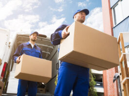 operarios de deposito con o sin experiencia warehouse workers with or without experience warehouse operator personal masculino para deposito