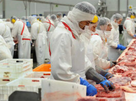 empacadores sin experiencia food industry packers