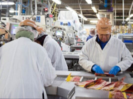 trabajadores para fabrica de alimentos Operarios alimenticios Empacadores para empacado de comida en empresa de alimentos Packers for packing food in food company empacadores