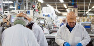 trabajadores para fabrica de alimentos Operarios alimenticios Empacadores para empacado de comida en empresa de alimentos Packers for packing food in food company empacadores