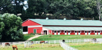 empleado-para-fincaaaa-farm