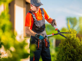 Ayudante De Jardinero gardener helper