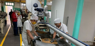 Operario De Producción production operator