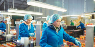 Operario/a De Envasado Packaging Operators