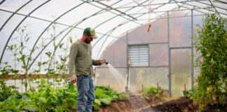 Trabajadores Agrícolas y Jornaleros Para Invernadero Greenhouse Workers-Nursery Staff