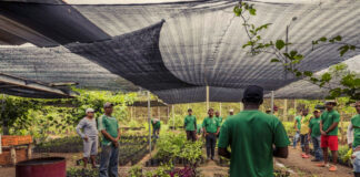 Trabajadores/as Para Vivero nursery worker