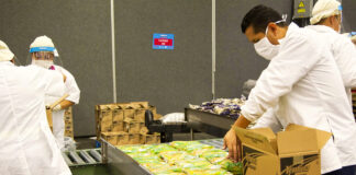 SE SOLICITAN AYUDANTES DE PROCESO CON O SIN EXPERIENCIA (HOMBRES Y MUJERES), SE OFRECEN BUENAS CONDICIONES LABORALES Ayudantes De Proceso Process Helpers