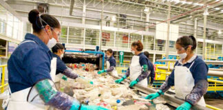 Operario/a Para Planta De Reciclaje recycling plant operator