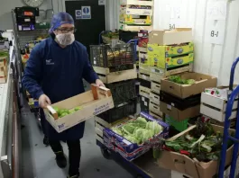 Envasadores De Verduras vegetable packers