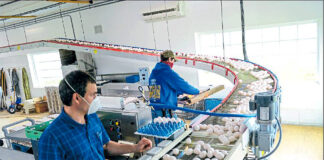 SOLICITAMOS TRABAJADOR/A PARA RECOLECCIÓN DE HUEVOS (GRANJA AVÍCOLA), CON O SIN EXPERIENCIA. SE PROPORCIONA CASA CON SERVICIOS INCLUIDOS, BUEN PAGO SEMANAL TRABAJADOR PARA RECOLECCION DE HUEVOS POULTRY FARM