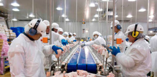 Operarios de Producción empleo de Operario en Costa Rica Empleo en Alajuela Production Operators Operator employment in Costa Rica Employment in Alajuela