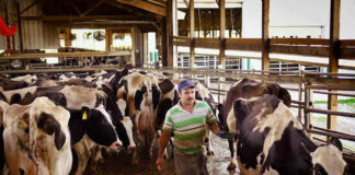 Peón/a de Granja en España Limpieza y Cuidado de Animales empleo de peón en España Farm Laborer in Spain