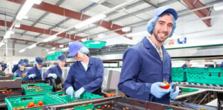 Manipuladoras de Fruta y Verdura envasador en España Operai nel settore della movimentazione di frutta e verdura Obst- und Gemüsehändler packaging jobs in Spain