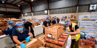 Personal de Almacén de frutas y verduras Fruit and vegetable warehouse staff Personale di magazzino Lagerpersonal Warehouse Personnel