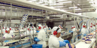 Trabajadores de Producción empleo de Producción en Estados Unidos Empleo sin experiencia Production Workers Produktionsarbeiter Addetti alla produzione