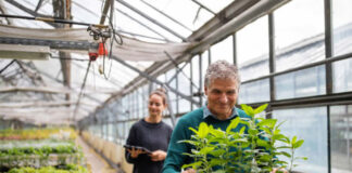 Trabajadores En Vivero De Plantas en Estados Unidos Empleo sin experiencia Lavoratori di vivai Gärtnereiarbeiter Plant Nursery Workers in the United States Employment without experience