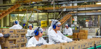 Operarios de Producción y Envasado empleo de envasador en España Empleo en Madrid Production and Packaging Operators packaging jobs in Spain Jobs in Madrid