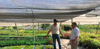 Peones Agrícolas Finca en España Viveros de Plantas Empleo sin experiencia Agricultural Laborers for Farm in Spain Plant Nurseries in Valencia Spain Employment without experience