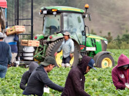 Peones Agrícolas Granja de Frutas y Verduras en Canadá Delta Columbia Británica Empleo sin experiencia en Canadá Agricultural Laborers in Canada Delta British Columbia Jobs without experience in Canada