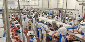 Peones para Industria Cárnica en España Laborers for the Meat Industry in Spain