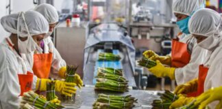 Operarios de producción Production Operators empleo de operario en España