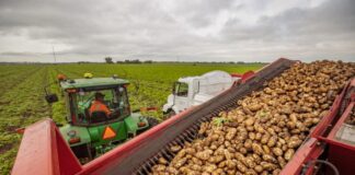 Peones Agrícolas Para Granja de Papas en USA Empleo en Caribou Empleo en Maine Farm Laborers for Potato Farm in the USA Jobs in Caribou Jobs in Maine