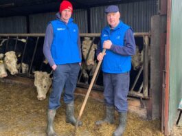 Trabajadores/as Generales para Granja Ganadera en Canadá Empleo en Alberta Empleo sin experiencia en Canadá General Workers for Livestock Farms in Canada