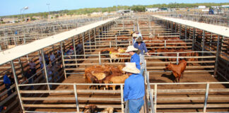Ayudantes de Rancho Mano de Obra General Pender empleo en Nebraska Empleo sin experiencia en USA empleado para granja en USA Ranch Helpers General Labor Stop job in Nebraska