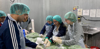 Operarios de Producción Empresa de Alimentos Empleo en Gardena y Torrance Empleo en Los Ángeles Empleo en California Production Operators Food Company in USA