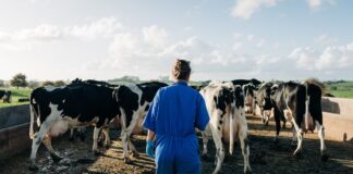 Ayudantes para Granja empleo en Palmer empleo en Kansas empleado para granja en USA Empleo sin experiencia Granja Lechera Farm Helpers job employee in USA Job without experience Dairy Farm