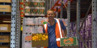 Encajadores de Cítricos Empleo en Algemesí Empleo en Valencia empleo de envasador en España Citrus Packers packer jobs in Spain
