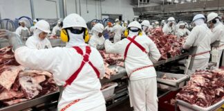 Operarios/as para Industria Cárnica Empleo en Pla d'Urgell Empleo en Lleida empleo de operario en España Laborers for the Meat Industry Operator employment in Spain