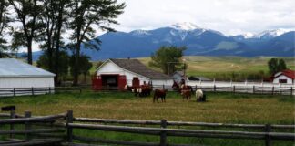 Rancho Ganadero trabajadores Empleo en Texas Rancho Ganadero en USA Livestock Ranch Hands in Big Lake Employment in Texas Livestock Ranch in the USA