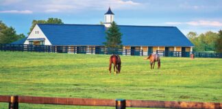 Trabajadores Para Granja de Caballos Empleo en Hudson Empleo en Nueva York Granja de Caballos en USA Horse Farm Workers Jobs in Hudson Jobs in New York Horse Farm in the USA