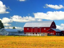 Trabajadores de Granja Empleo en Columbia Británica Empleo sin experiencia en Canadá Farm Workers Jobs in British Columbia Jobs without experience in Canada