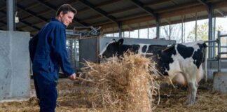 Ayudantes Generales Para Granja de Ganado en Canadá Empleo en Manitoba Empleo sin experiencia en Canadá General Farm Helpers in Canada