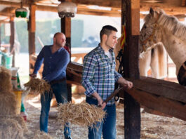 Ayudantes de Rancho en USA Ranchworkers
