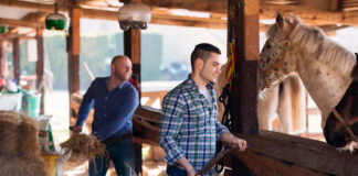 Ayudantes de Rancho en USA Ranchworkers