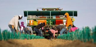 SE SOLICITAN TRABAJADORES AGRÍCOLAS PARA GRANJA (CON O SIN EXPERIENCIA), 2 VACANTES. BUEN PAGO POR HORA Trabajadores Agrícolas Para Granja en Columbia Británica empleo sin experiencia en Canadá Agricultural Workers For Farm In British Columbia Jobs Without Experience In Canada