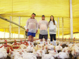 Trabajadores de Granja Avícola empleo en Rockwood empleo en Ontario Granja Avícola en Canadá empleo sin experiencia en Canadá Poultry Farm in Canada