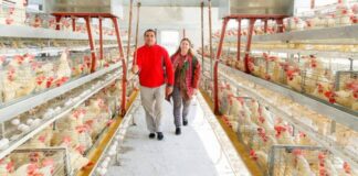 Trabajadores Para Granja Avícola en USA Trabajadores Avícolas en Estados Unidos empleo en Arkansas Poultry Farm Workers in USA Poultry Workers in USA jobs in Arkansas