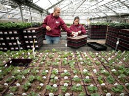 Trabajadores para Vivero de Plantas en USA empleo en Wisconsin empleo sin experiencia en Estados Unidos Nursery Workers in the USA jobs in Wisconsin jobs without experience in the United States