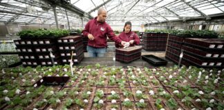 Trabajadores para Vivero de Plantas en USA empleo en Wisconsin empleo sin experiencia en Estados Unidos Nursery Workers in the USA jobs in Wisconsin jobs without experience in the United States