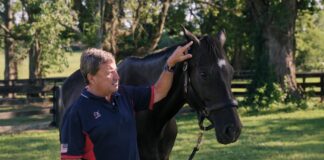 Ayudantes de Rancho en USA Cuidado y Manejo de Caballos en USA empleo sin experiencia en USA empleo en Texas Ranch Helpers in the USA in the USA Jobs in Texas