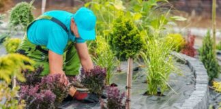 Ayudantes de jardinero Ofertas laborales en Canadá Trabajo con o sin experiencia Gardening Helpers Job Offers in Canada
