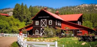 Trabajadores Ganaderos en USA empleo sin experiencia en EE.UU. Rancho en Colorado Livestock Workers in the USA employment without experience in the USA Ranch in Colorado