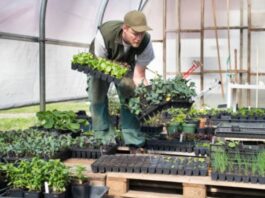 Trabajadores en Vivero de Plantas en USA empleo en Lindon empleo en Utah empleo sin experiencia en Estados Unidos Plant Nursery Workers in the USA jobs in Utah