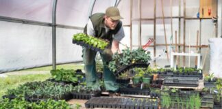 Trabajadores en Vivero de Plantas en USA empleo en Lindon empleo en Utah empleo sin experiencia en Estados Unidos Plant Nursery Workers in the USA jobs in Utah