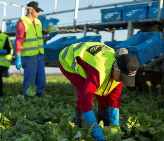 Agrícola trabajo agrícola España empleo con alojamiento empleo para extranjeros Agricultural work in Spain employment with accommodation